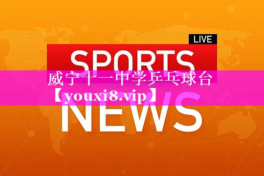 威宁十一中学乒乓球台