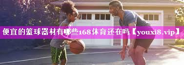 便宜的篮球器材有哪些168体育还在吗