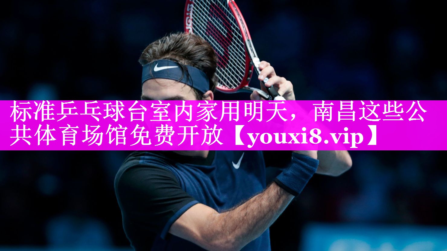 标准乒乓球台室内家用明天，南昌这些公共体育场馆免费开放
