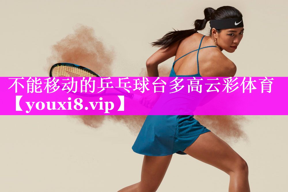 不能移动的乒乓球台多高云彩体育