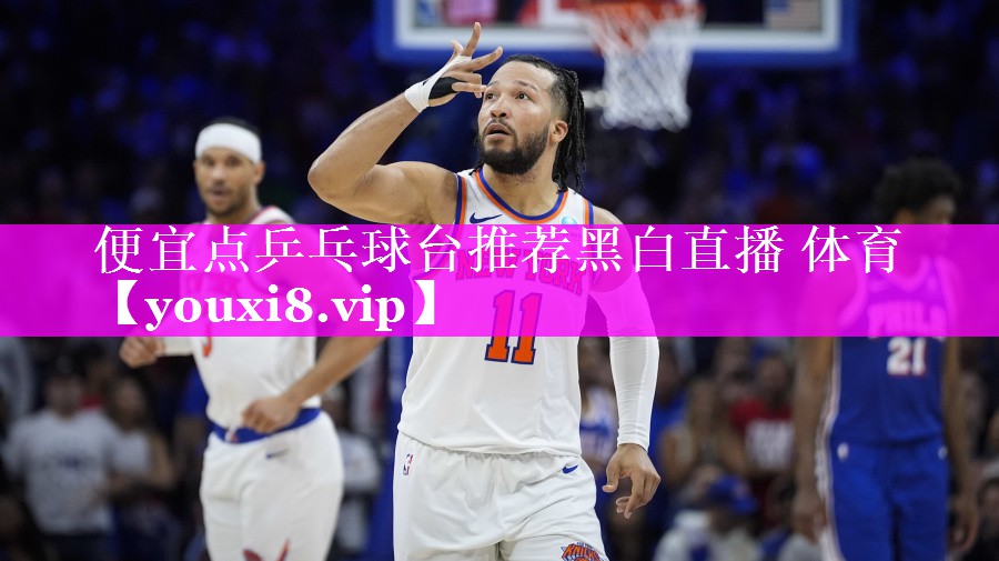 便宜点乒乓球台推荐黑白直播 体育