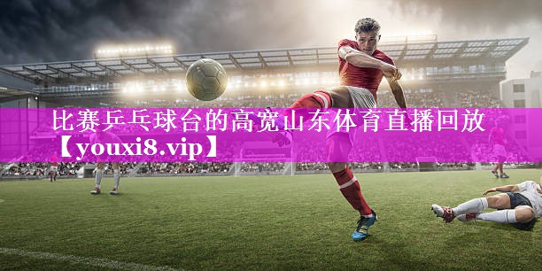 比赛乒乓球台的高宽山东体育直播回放