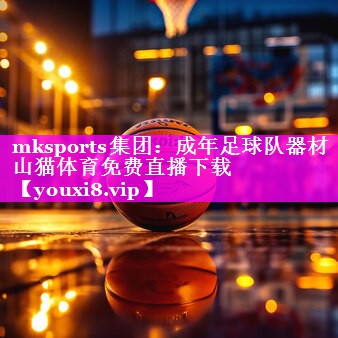 mksports集团：成年足球队器材山猫体育免费直播下载