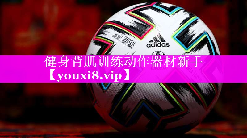 健身背肌训练动作器材新手 健身背肌训练动作器材新手
