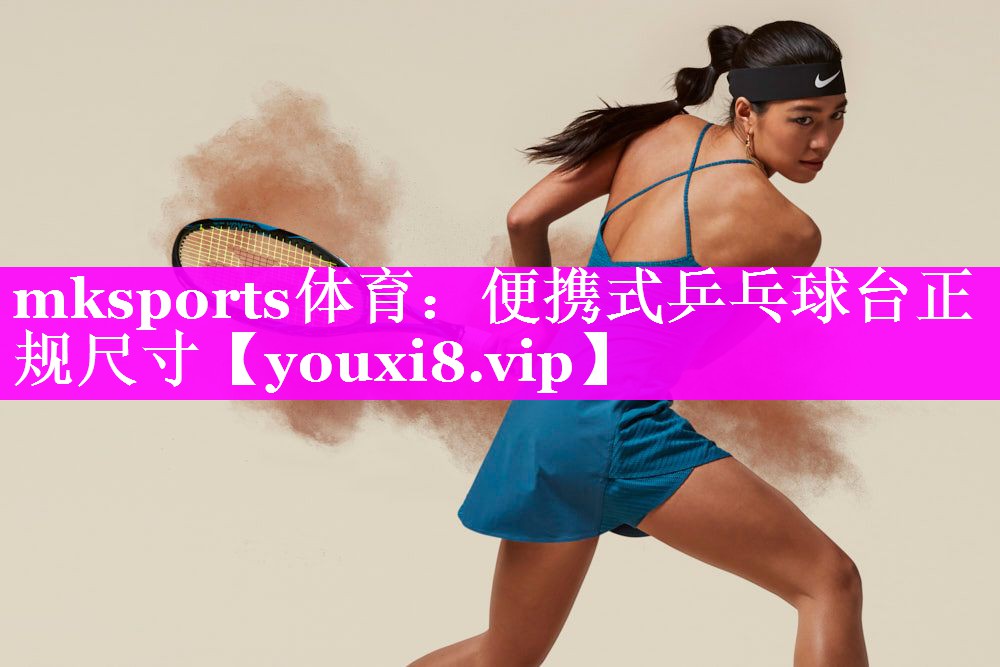 便携式乒乓球台正规尺寸