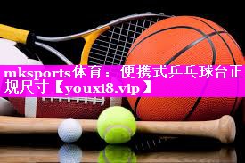 便携式乒乓球台正规尺寸