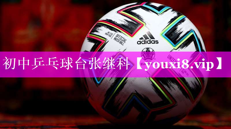 初中乒乓球台张继科