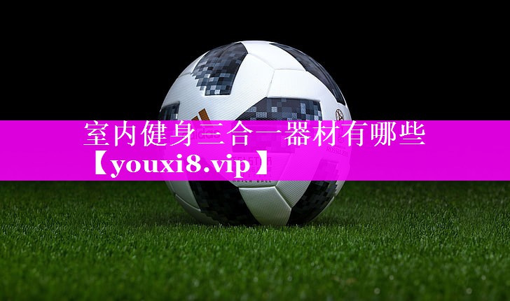 室内健身三合一器材有哪些
