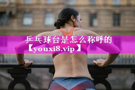 乒乓球台是怎么称呼的