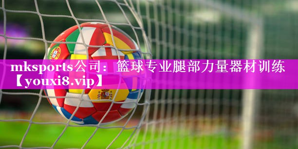 篮球专业腿部力量器材训练