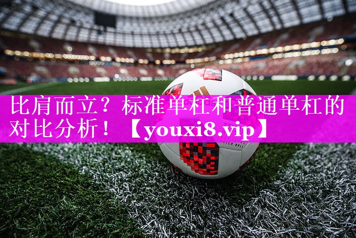 比肩而立?标准单杠和普通单杠的对比分析! 比肩而立?标准单杠和普通单杠的对比分析!