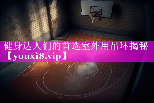 健身达人们的首选室外用吊环揭秘 健身达人们的首选室外用吊环揭秘