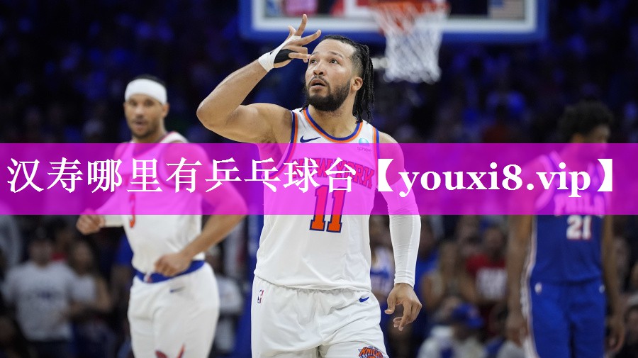 汉寿哪里有乒乓球台 汉寿哪里有乒乓球台