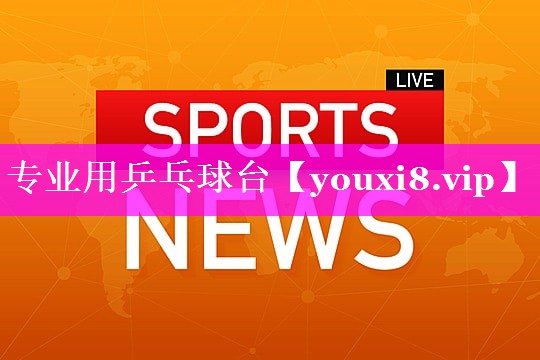 专业用乒乓球台 专业用乒乓球台